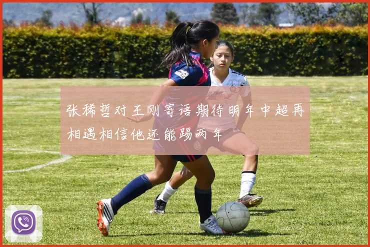 张稀哲对王刚寄语期待明年中超再相遇相信他还能踢两年