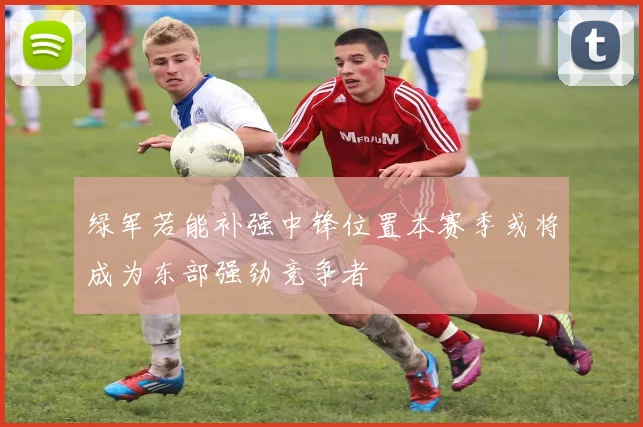 绿军若能补强中锋位置本赛季或将成为东部强劲竞争者