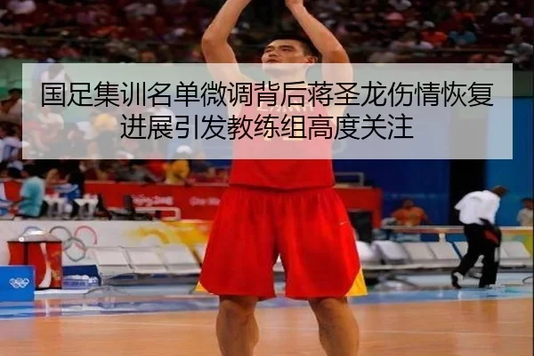 国足集训名单微调背后蒋圣龙伤情恢复进展引发教练组高度关注 - kaiyuansports